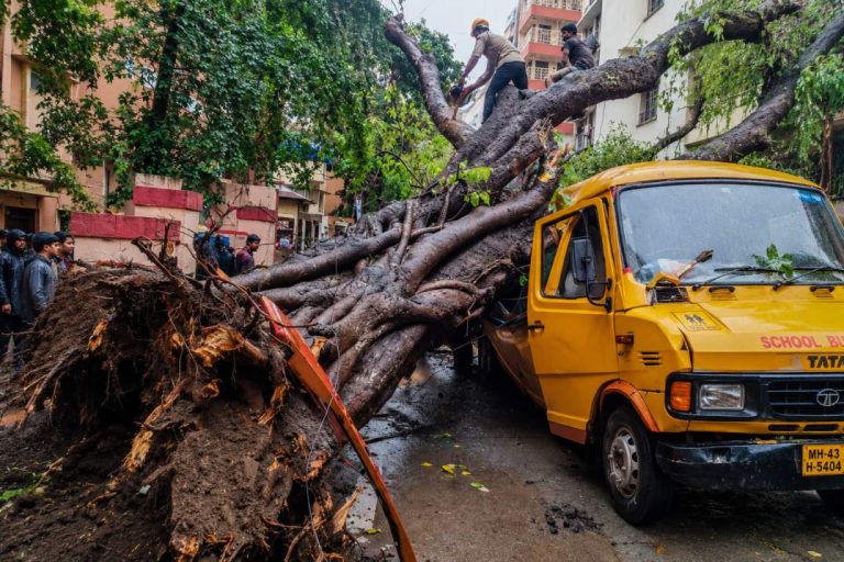 मुंबई में बड़ा हादसा: स्कूल बस पर गिरा विशाल पेड़, एक छात्र की मौत, 10 बच्चे घायल